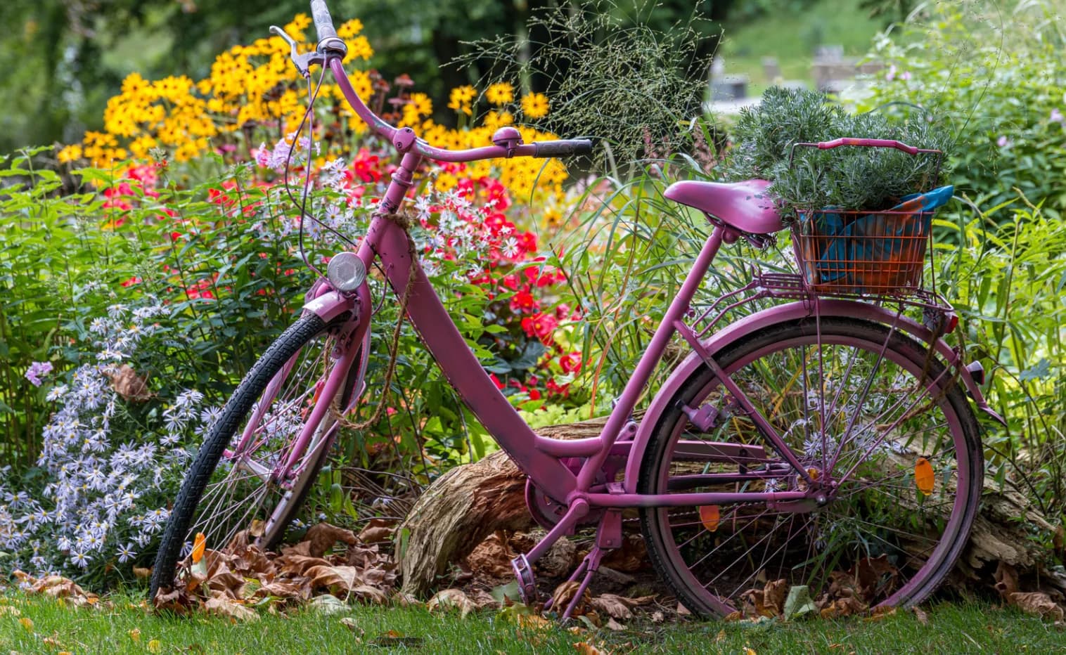 Simple, Affordable Ways to Transform Your Garden or Roof Terrace This Summer