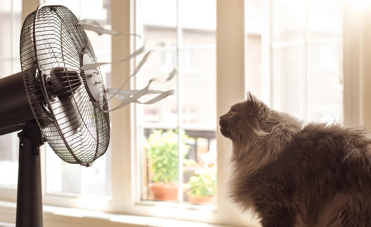 Ten Essential Budget-Friendly Ways to Beat the Heatwave at Home